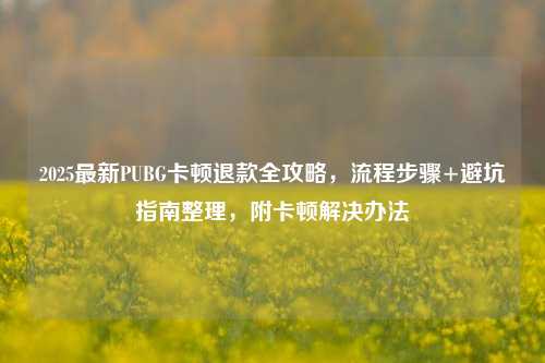 2025最新PUBG卡顿退款全攻略,流程步骤+避坑指南整理,附卡顿解决办法