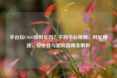 平台玩CSGO加时长吗?不同平台规则、时长用途、安全性与避坑指南全解析