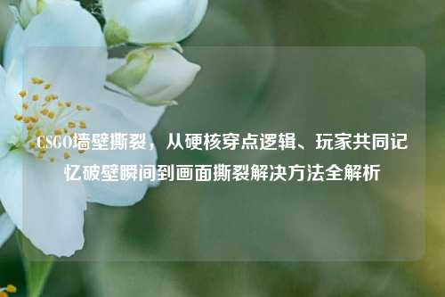 CSGO墙壁撕裂,从硬核穿点逻辑、玩家共同记忆破壁瞬间到画面撕裂解决方法全解析