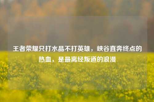 王者荣耀只打水晶不打英雄,峡谷直奔终点的热血,是最离经叛道的浪漫