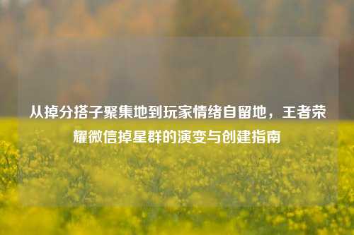 从掉分搭子聚集地到玩家情绪自留地,王者荣耀微信掉星群的演变与创建指南