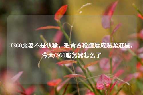 CSGO服老不是认输,把青春枪膛磨成温柔准星,今天CSGO服务器怎么了
