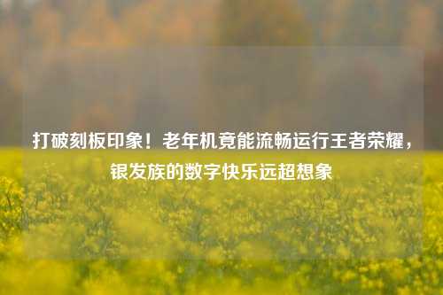 打破刻板印象!老年机竟能流畅运行王者荣耀,银发族的数字快乐远超想象