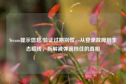Steam提示信息/验证过期别慌，从登录故障到生态暗线，拆解被弹窗挡住的真相