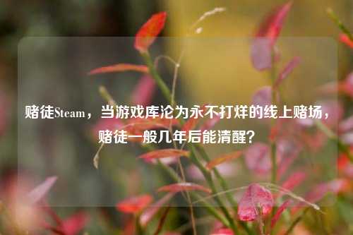赌徒Steam，当游戏库沦为永不打烊的线上赌场，赌徒一般几年后能清醒？