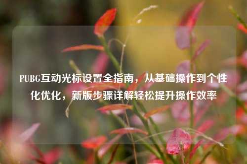 PUBG互动光标设置全指南，从基础操作到个性化优化，新版步骤详解轻松提升操作效率