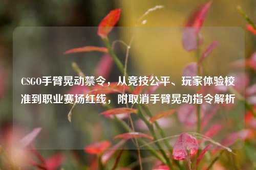 CSGO手臂晃动禁令，从竞技公平、玩家体验校准到职业赛场红线，附取消手臂晃动指令解析
