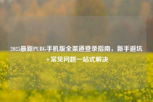 2025最新PUBG手机版全渠道登录指南，新手避坑+常见问题一站式解决