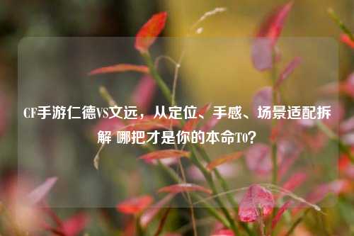 CF手游仁德VS文远，从定位、手感、场景适配拆解 哪把才是你的本命T0？