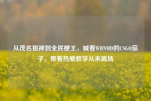 从茂名狙神到全民梗王，喊着WDNMD的CSGO茄子，带着热爱教学从未离场