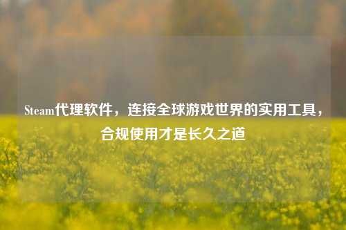 Steam代理软件，连接全球游戏世界的实用工具，合规使用才是长久之道