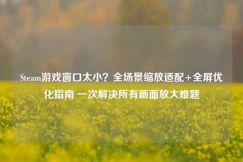 Steam游戏窗口太小？全场景缩放适配+全屏优化指南 一次解决所有画面放大难题