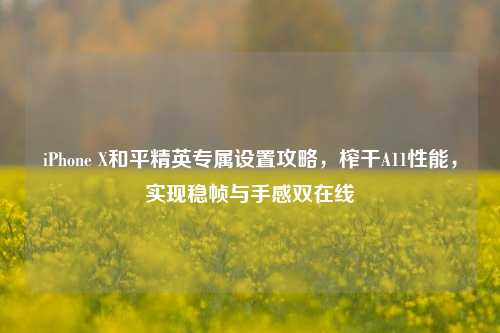 iPhone X和平精英专属设置攻略，榨干A11性能，实现稳帧与手感双在线