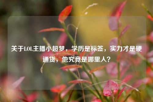 关于LOL主播小超梦,学历是标签,实力才是硬通货,他究竟是哪里人?