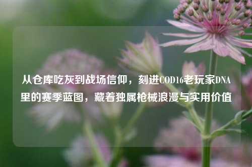 从仓库吃灰到战场信仰，刻进COD16老玩家DNA里的赛季蓝图，藏着独属枪械浪漫与实用价值