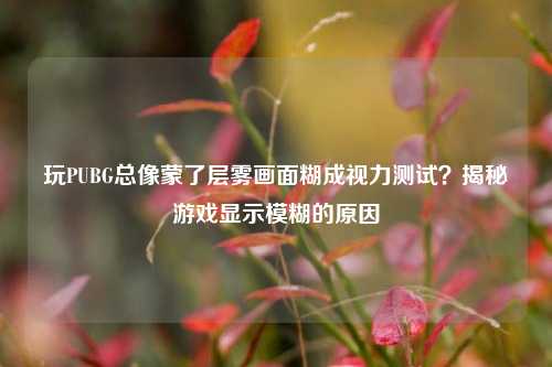玩PUBG总像蒙了层雾画面糊成视力测试?揭秘游戏显示模糊的原因