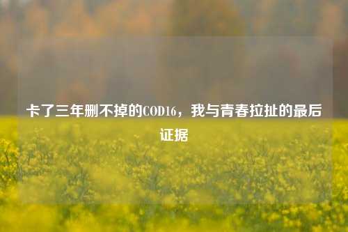 卡了三年删不掉的COD16，我与青春拉扯的最后证据