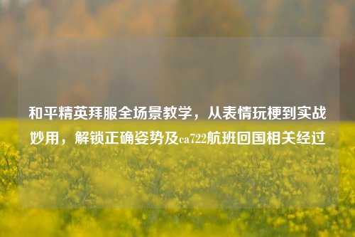 和平精英拜服全场景教学,从表情玩梗到实战妙用,解锁正确姿势及ca722航班回国相关经过