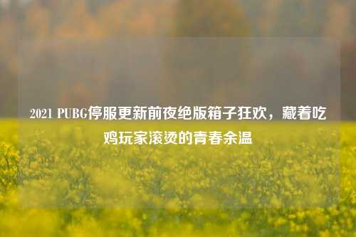 2021 PUBG停服更新前夜绝版箱子狂欢，藏着吃鸡玩家滚烫的青春余温