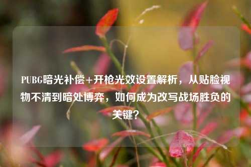 PUBG暗光补偿+开枪光效设置解析，从贴脸视物不清到暗处博弈，如何成为改写战场胜负的关键？