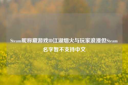 Steam昵称藏游戏ID江湖烟火与玩家浪漫但Steam名字暂不支持中文