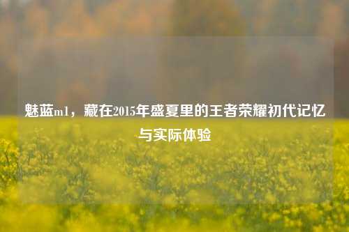 魅蓝m1，藏在2015年盛夏里的王者荣耀初代记忆与实际体验