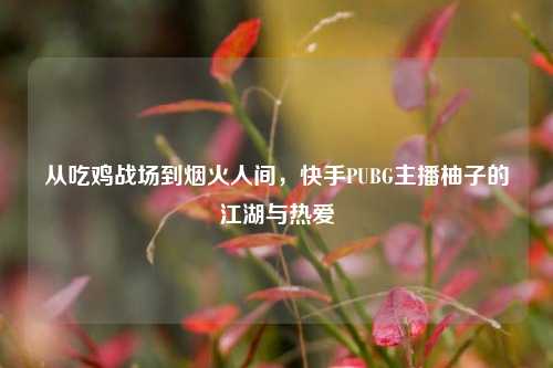 从吃鸡战场到烟火人间,快手PUBG主播柚子的江湖与热爱