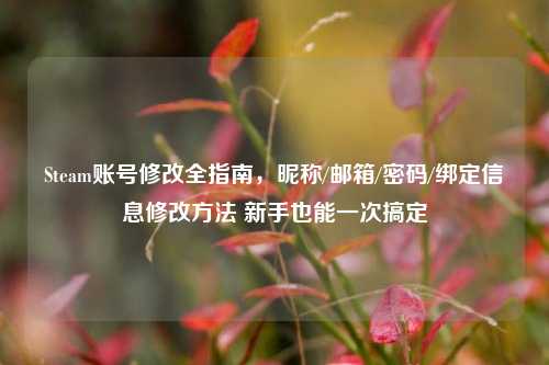 Steam账号修改全指南,昵称/邮箱/密码/绑定信息修改方法 新手也能一次搞定