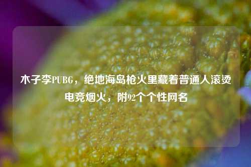 木子李PUBG，绝地海岛枪火里藏着普通人滚烫电竞烟火，附92个个性网名