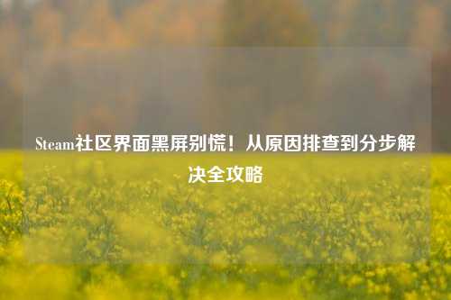 Steam社区界面黑屏别慌！从原因排查到分步解决全攻略