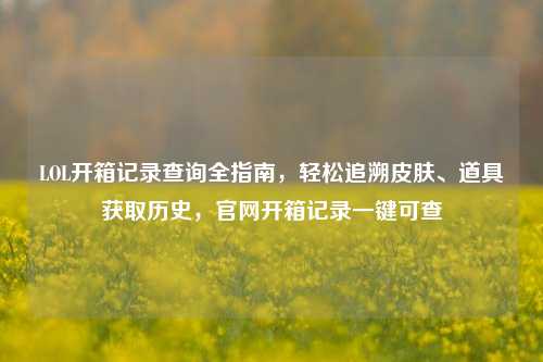 LOL开箱记录查询全指南，轻松追溯皮肤、道具获取历史，官网开箱记录一键可查