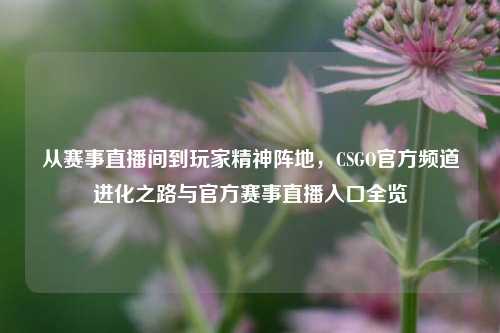 从赛事直播间到玩家精神阵地,CSGO官方频道进化之路与官方赛事直播入口全览
