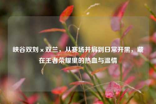 峡谷双刘×双兰，从赛场并肩到日常开黑，藏在王者荣耀里的热血与温情