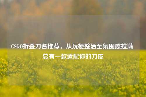 CSGO折叠刀名推荐，从玩梗整活至氛围感拉满 总有一款适配你的刀皮