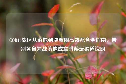COD16战区从落地到决赛圈高效配合全指南,告别各自为战落地成盒附游玩渠道说明