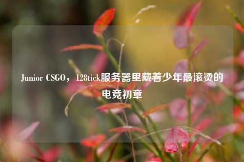 Junior CSGO，128tick服务器里藏着少年最滚烫的电竞初章