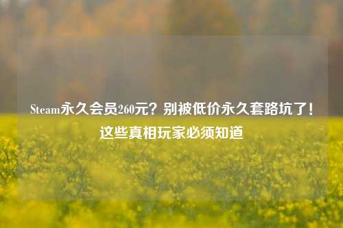 Steam永久会员260元？别被低价永久套路坑了！这些真相玩家必须知道