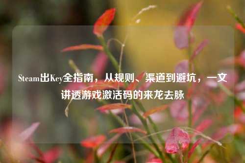 Steam出Key全指南，从规则、渠道到避坑，一文讲透游戏激活码的来龙去脉