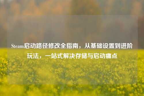 Steam启动路径修改全指南，从基础设置到进阶玩法，一站式解决存储与启动痛点