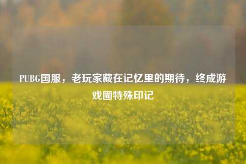 PUBG国服，老玩家藏在记忆里的期待，终成游戏圈特殊印记