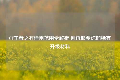 CF王者之石适用范围全解析 别再浪费你的稀有升级材料