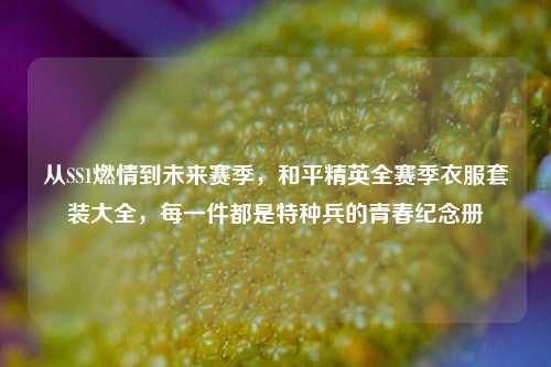 从SS1燃情到未来赛季，和平精英全赛季衣服套装大全，每一件都是特种兵的青春纪念册