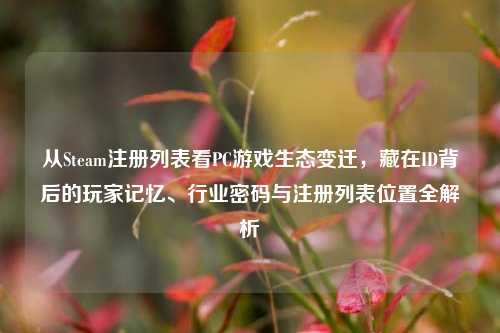 从Steam注册列表看PC游戏生态变迁，藏在ID背后的玩家记忆、行业密码与注册列表位置全解析