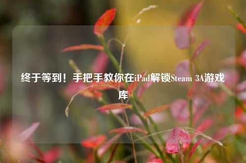 终于等到！手把手教你在iPad解锁Steam 3A游戏库