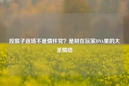 投猴子返场不是情怀党？是刻在玩家DNA里的大圣情结