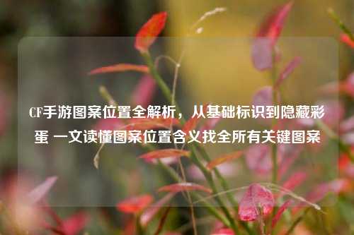 CF手游图案位置全解析，从基础标识到隐藏彩蛋 一文读懂图案位置含义找全所有关键图案