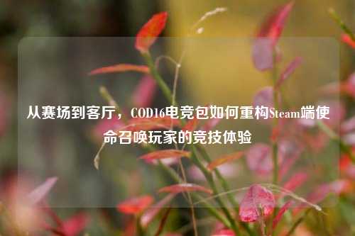 从赛场到客厅，COD16电竞包如何重构Steam端使命召唤玩家的竞技体验