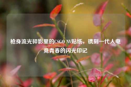 枪身流光碎影里的CSGO NV贴纸，镌刻一代人电竞青春的闪光印记