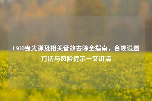 CSGO曳光弹及相关音效去除全指南，合规设置方法与风险提示一文讲清