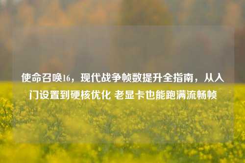 使命召唤16，现代战争帧数提升全指南，从入门设置到硬核优化 老显卡也能跑满流畅帧